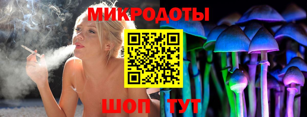 Ржев  Псилоцибиновые грибы Psilocybe  Вход с VPN 