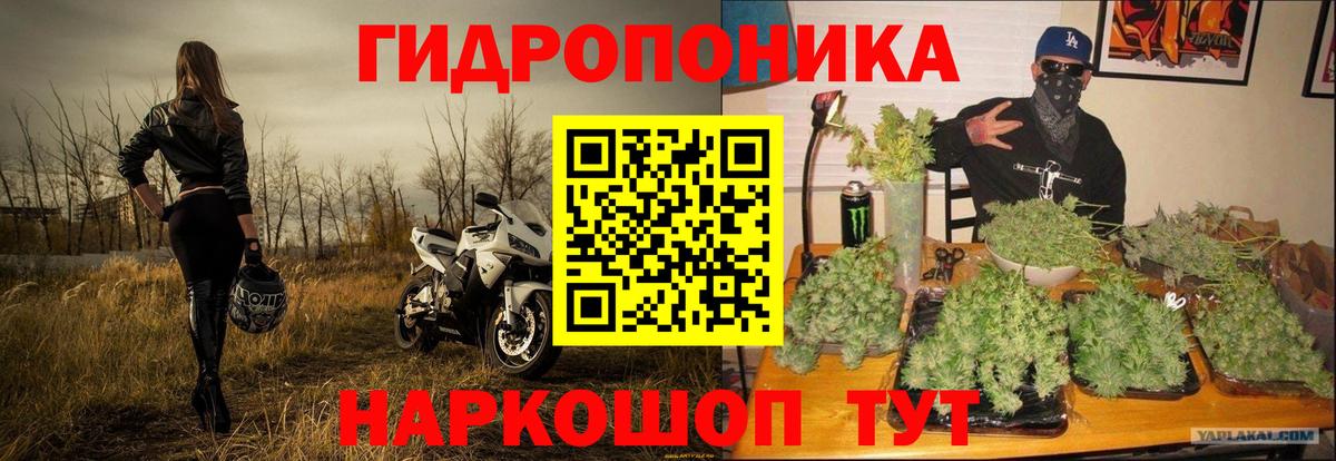 Конопля тримм  Вход с VPN  Ржев  Марихуана White Widow  Бошки Шишки гибрид 